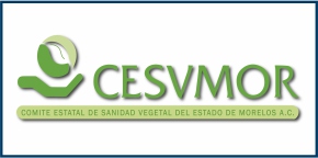 cliente6